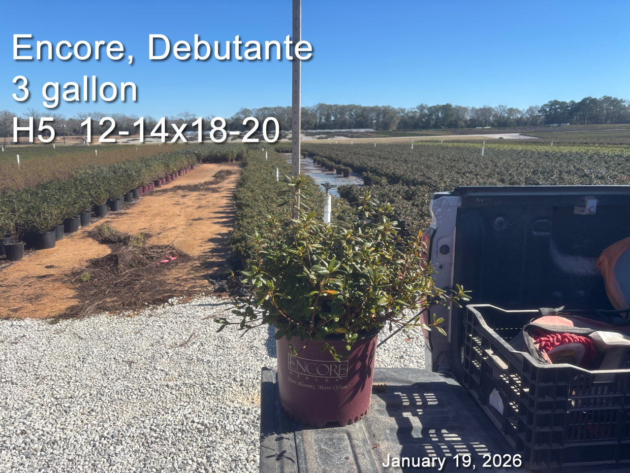 gallery/edeb3 h5 jan19.jpg